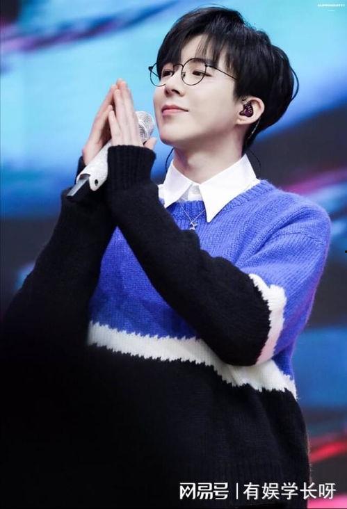 刘宇宁是明星吗,闪耀星途的璀璨明星